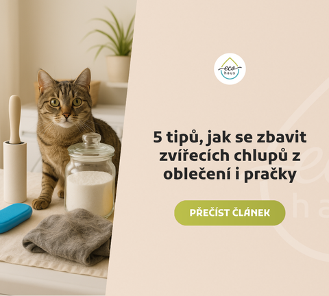Pet hair removal tools with cat in laundry room – lint roller, powder jar, dryer ball, and glove on washing machine.