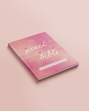 Návody a příručky